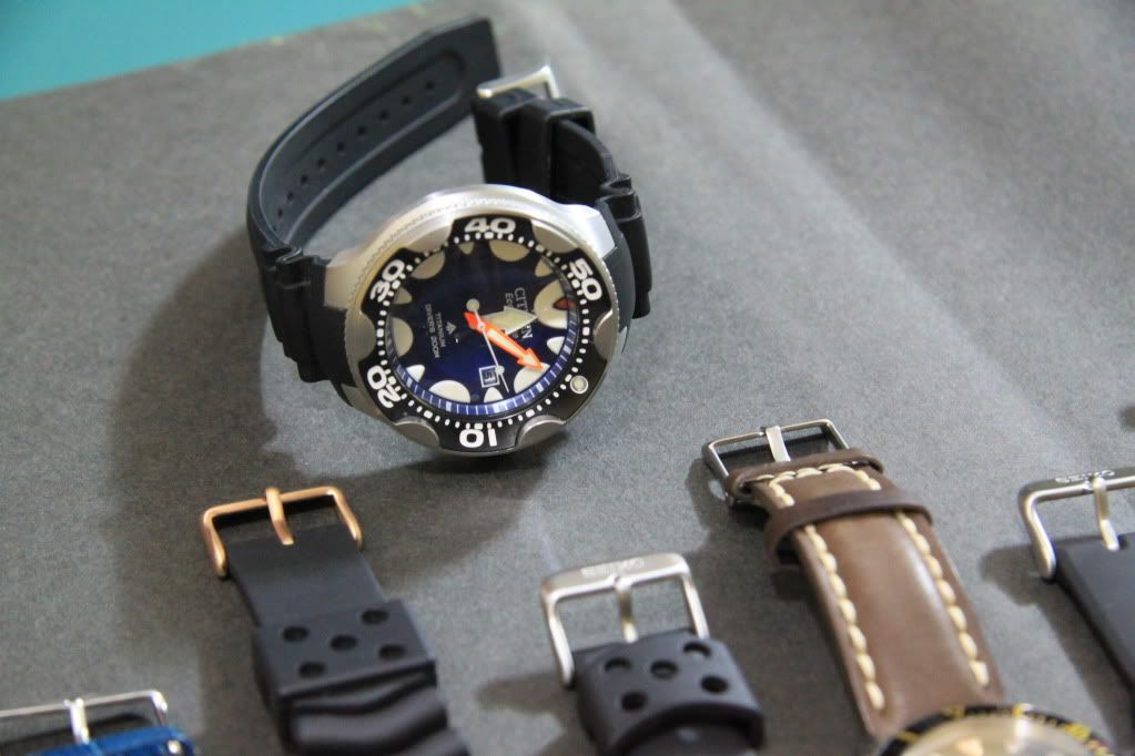 My collection of diver's watches WatchUSeek Watch Forums